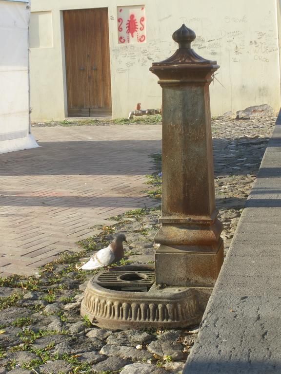 Hotel S'Ustiarvu- Nuova Gestione Cala Liberotto Esterno foto