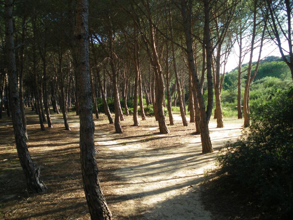 Hotel S'Ustiarvu- Nuova Gestione Cala Liberotto Esterno foto