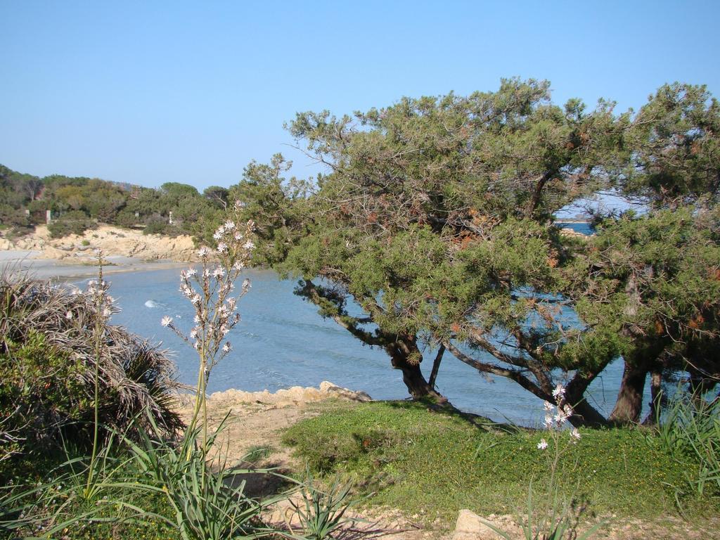 Hotel S'Ustiarvu- Nuova Gestione Cala Liberotto Esterno foto