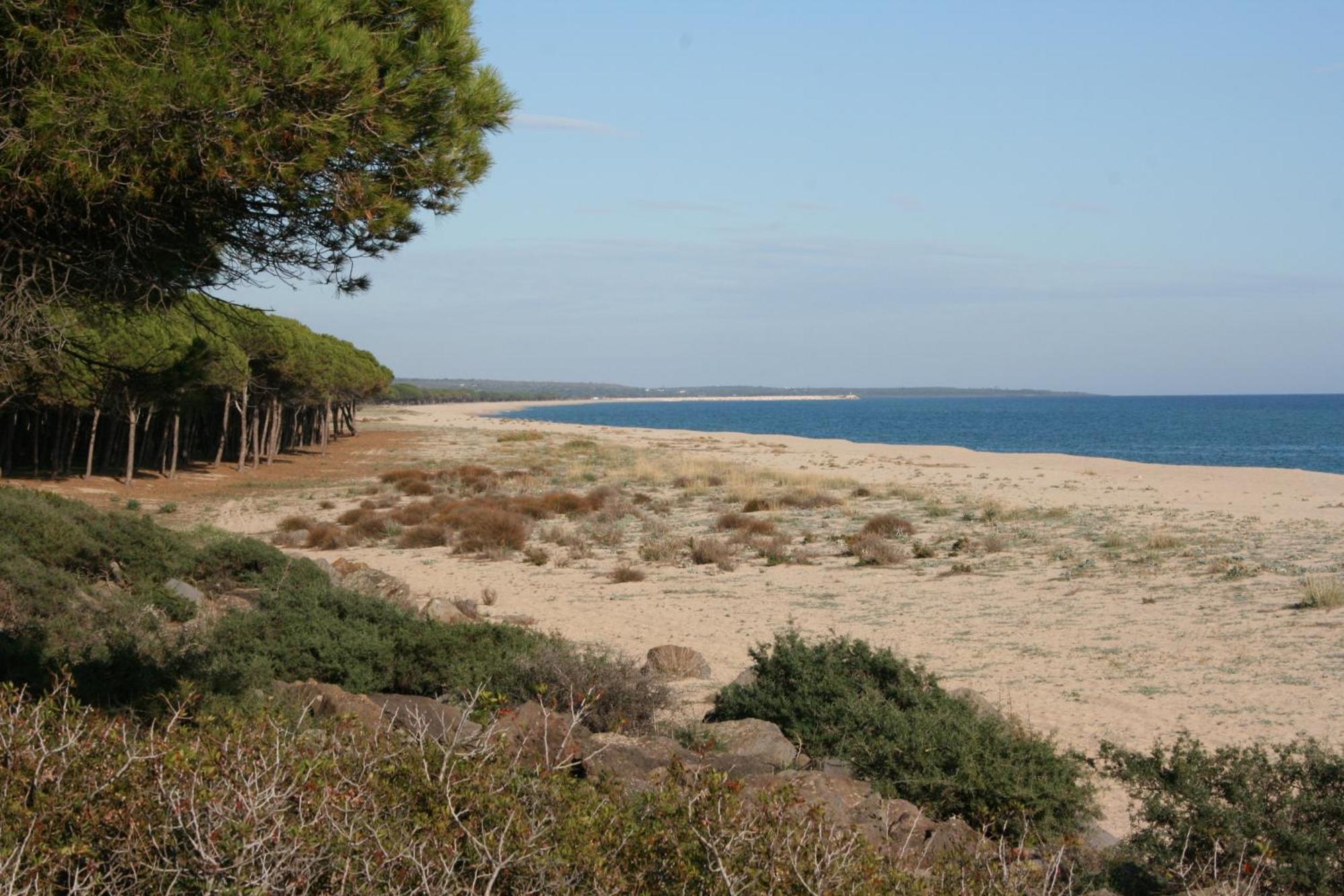 Hotel S'Ustiarvu- Nuova Gestione Cala Liberotto Esterno foto