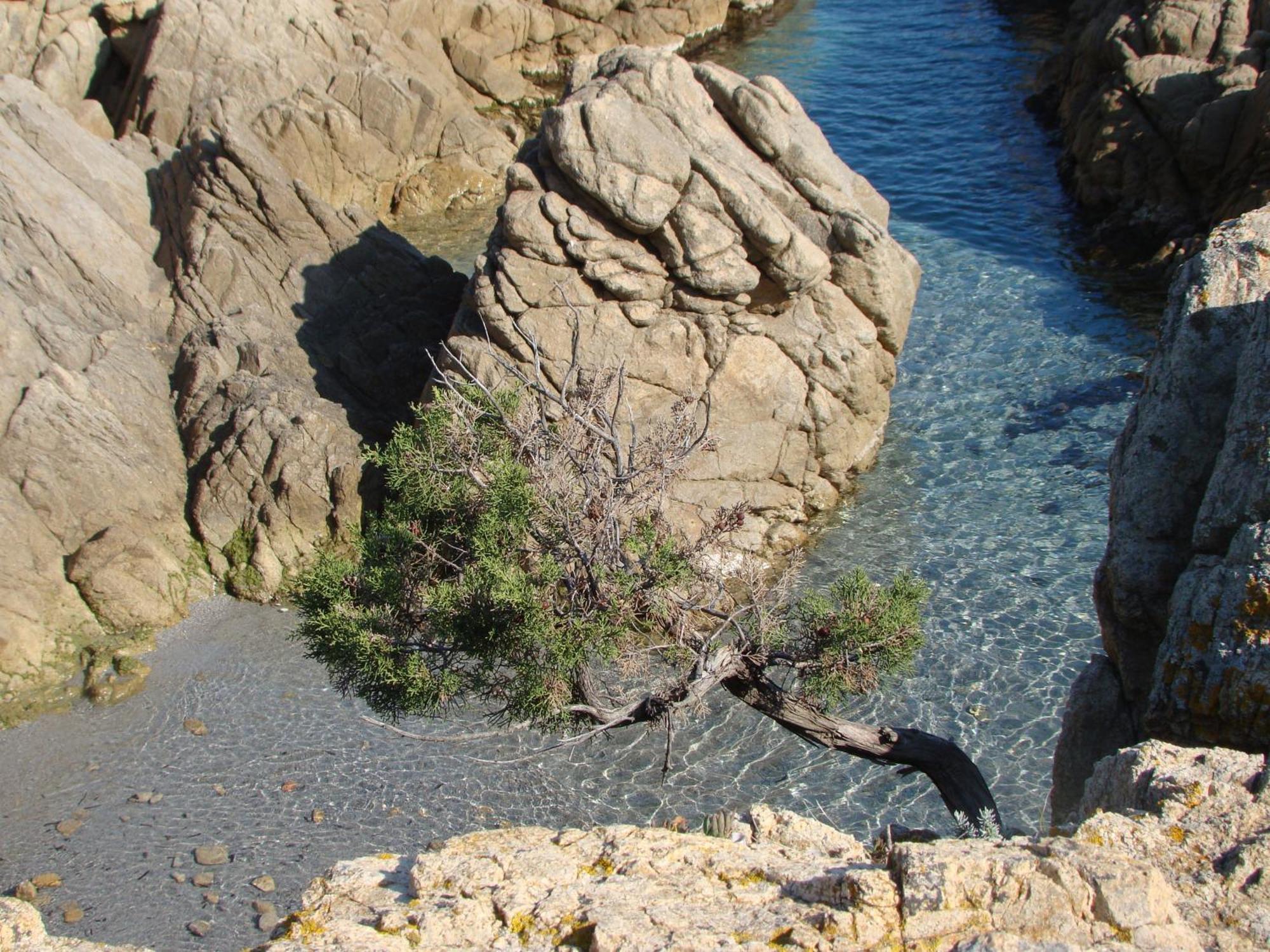 Hotel S'Ustiarvu- Nuova Gestione Cala Liberotto Esterno foto