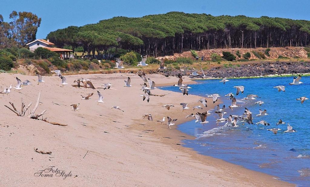 Hotel S'Ustiarvu- Nuova Gestione Cala Liberotto Esterno foto